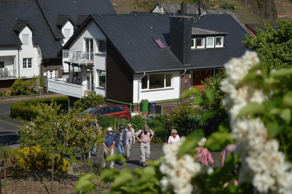 Weingut Im Moselkrampen Apartment Еленц-Полтерсдорф Екстериор снимка